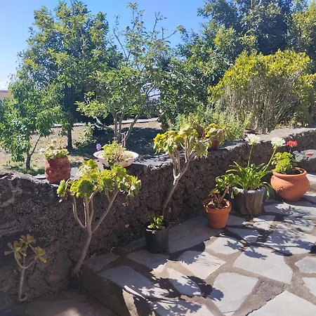 Amapola
